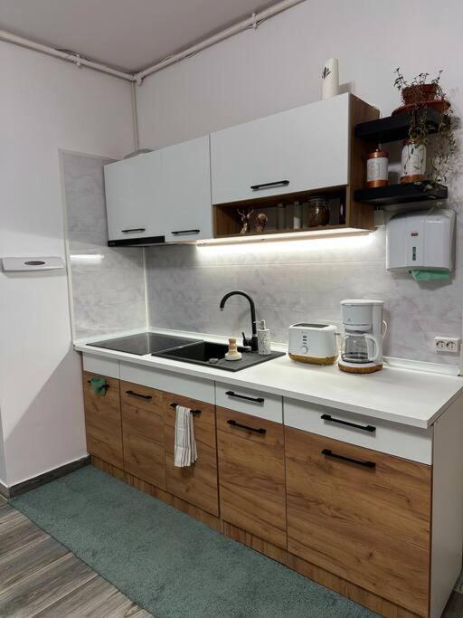 Zion Home Sibiu Exteriör bild